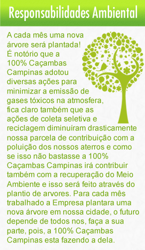 Responsabilidade Ambiental